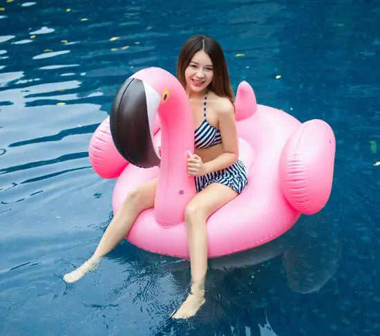 Splash Fun Swan & Flamingo Floats